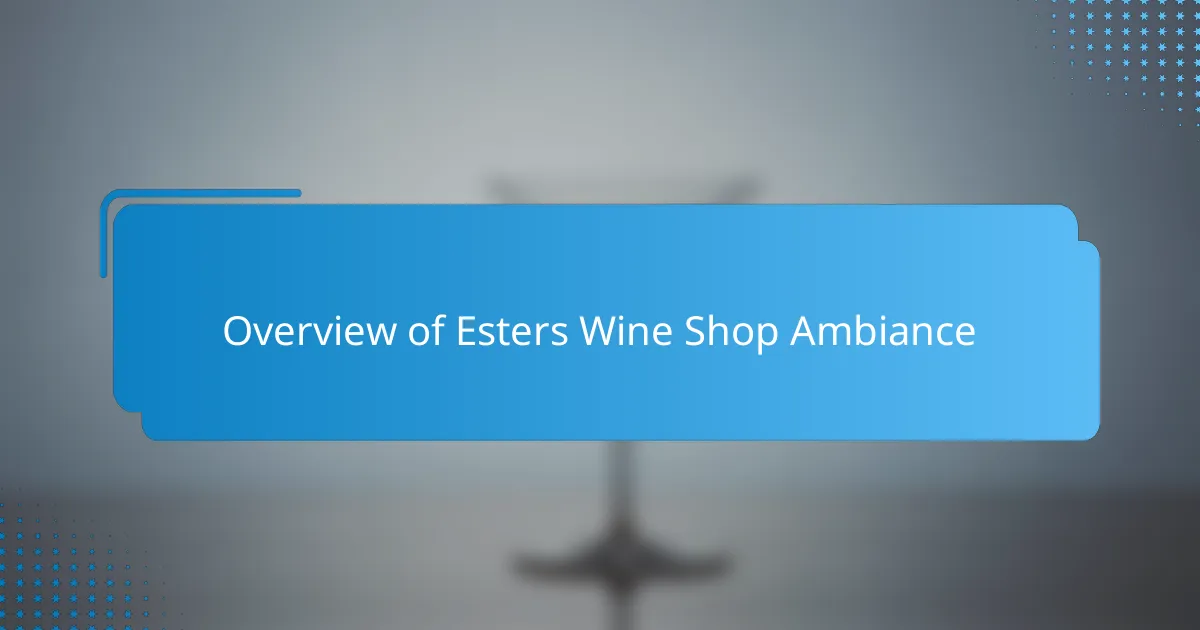 Overview of Esters Wine Shop Ambiance