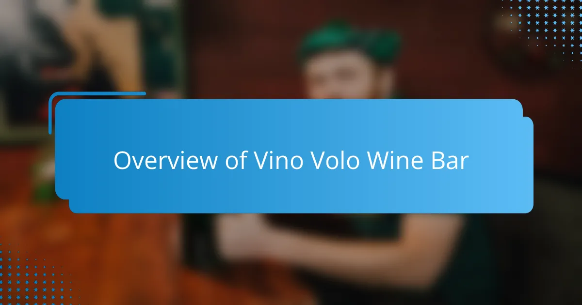 Overview of Vino Volo Wine Bar