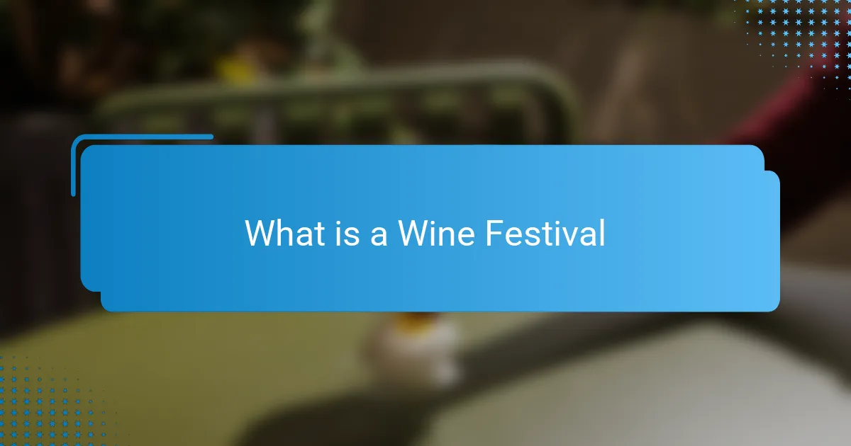 What is a Wine Festival